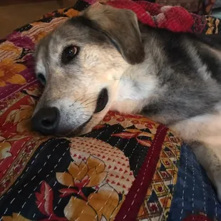 This is Levinn, dumped at the Eleven in 2015