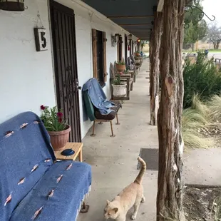 This place is awesome!!