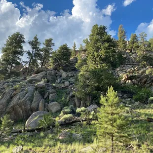 The entire hiking trail is this beautiful, believe it or not!