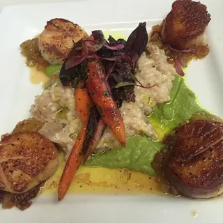 Diver Scallops