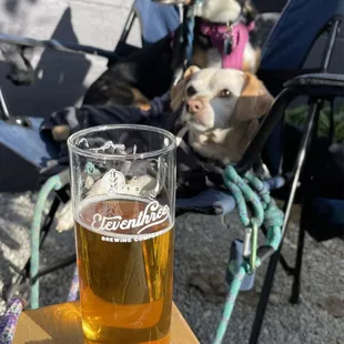 Dog friendly with great beers (offered in three sizes)! Medium size shown.