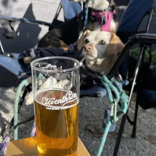 Dog friendly with great beers (offered in three sizes)! Medium size shown.