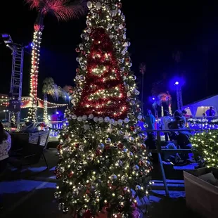 Christmas Trees in The Ice Skating Rink area @ The Elf on The Shelf in Pomona CA.