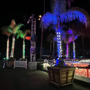 Exiting with the large Palm Trees I@ The Elf on The Shelf in Pomona CA.