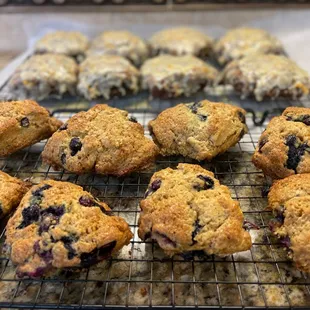 Freshly baked Blueberry Scones in the front and the seasonal Dark Chocolate Orange Scones in the back.