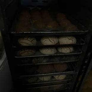 Bread