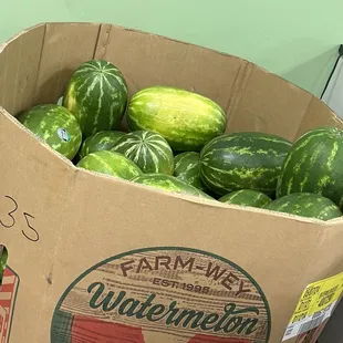 Seeded watermelon