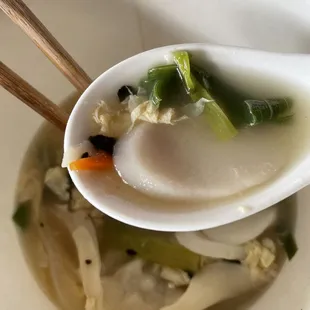 Dumpling Soup