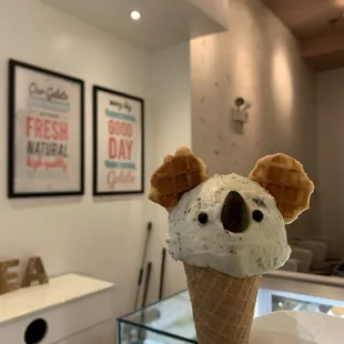 Koala with mint chip gelato