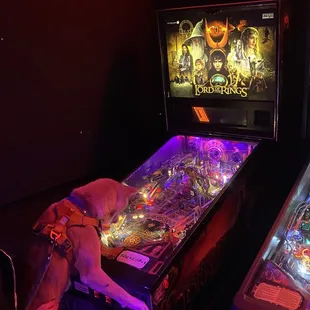 No coin machine but the bartender will change you out