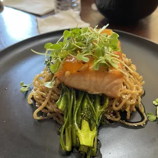 Roasted Salmon with a Apricot Ginger Lime Glaze, Roasted Broccolini with Roasted Garlic and Butter, Parmesan Garlic Noodles