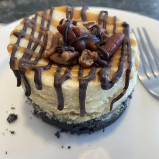 Turtle Cheesecake