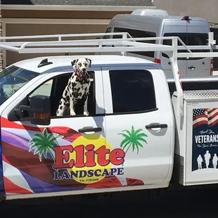 Best partner a guy can have