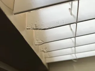 Fidelity Real Estate