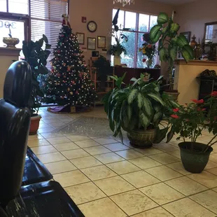Inside the salon