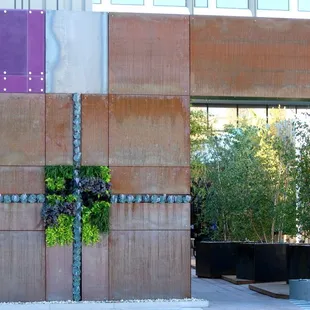 Streetscape and Courtyard Remodel