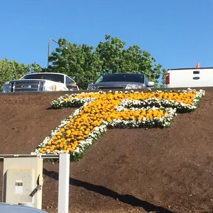 Custom floral lettering and landscape at Chukchansi Park in Fresno, CA