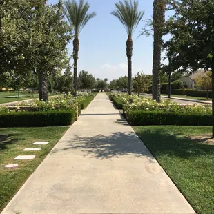 Landscape Maintenance at Harlan Ranch in Clovis, CA