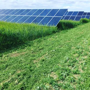 Solar field mowing maintenance, before and after
