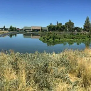 Floating Islands in Fresno, CA
