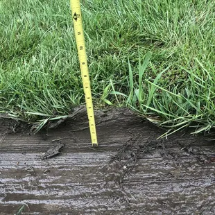 a measuring tape in the grass