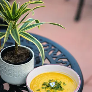 a bowl of soup and a potted plant