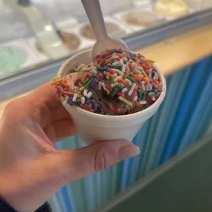 One scoop of chocolate