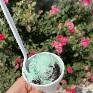 Mint Oreo scoop