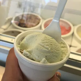 So many delicious choices