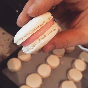 Rose Macaron