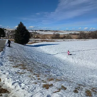 ...came back for another day of sledding