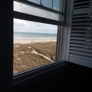 This was a window view from our oceanview room.