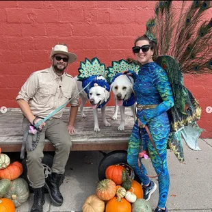 Halloween Puppy Parade