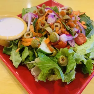 Good sized garden salad. Very nice.