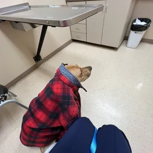 The problem child in question.