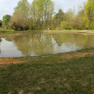 Catch a catfish in the catch and release pond.