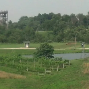 The ridge / woods course is a sprawling challenge.