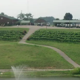 The club house has it all.