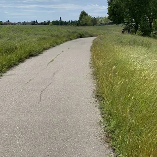 Path