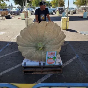 Third place winner for 2023!