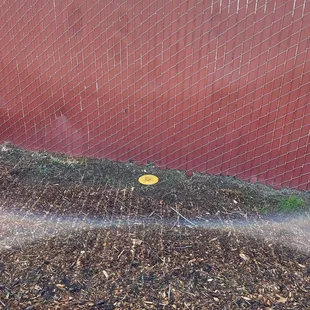 Watch out for the OB fence on 4!