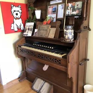 Packard Peddle Organ