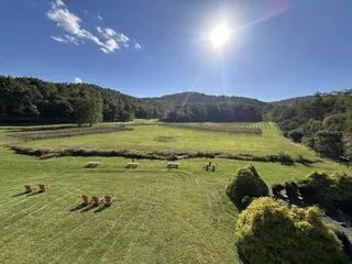 Loving Cup Vineyard & Winery