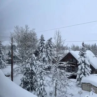 View outside the window