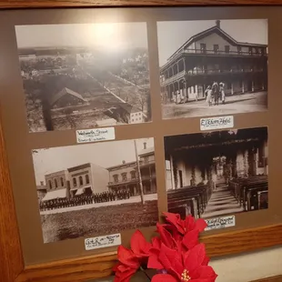 Rocking Elkhorn in earlier years.