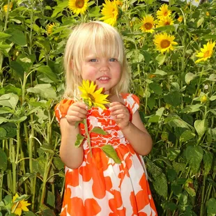 In season, sunflower fields at Elk Ridge Ranch.  Fun for kids and great for photos.