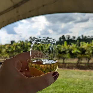 a hand holding a glass of wine