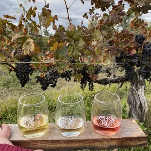 3 wine tasting flight