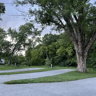 Site along Elkhorn Creek!