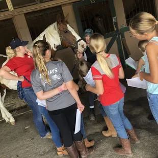 Summer Camp Western and English 2018